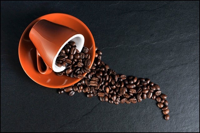Caffeine: How Does the World’s Most Popular Drug Work?