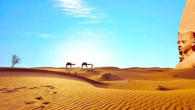 Sahara: Surviving in the World’s Largest Desert